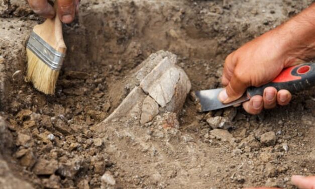 Duik in het verleden tijdens de Nationale Archeologiedagen