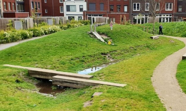 Bijna 7 miljoen subsidie voor maatregelen klimaatadaptatie in Groningen en Noord-Drenthe