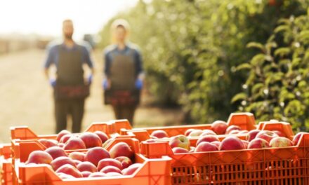 MVO Nederland lanceert collectief natuurlijk eten en drinken: inkopen voor biodiversiteit