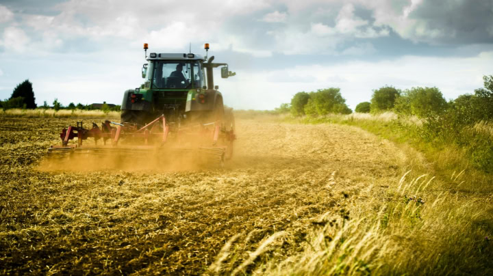 Noordelijke provincies ondersteunen meer boeren met Regeling Reductie Stikstofuitstoot